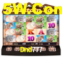 Sinta a adrenalina dos jogos de cassino com Dnd777